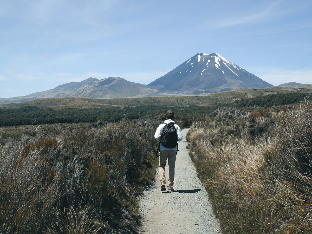 Backpacker wandert auf dem Tongariro Alpine Crossing zum Mount Ngauruhoe, bekannt als Schicksalsberg aus Herr der Ringe in Neuseeland